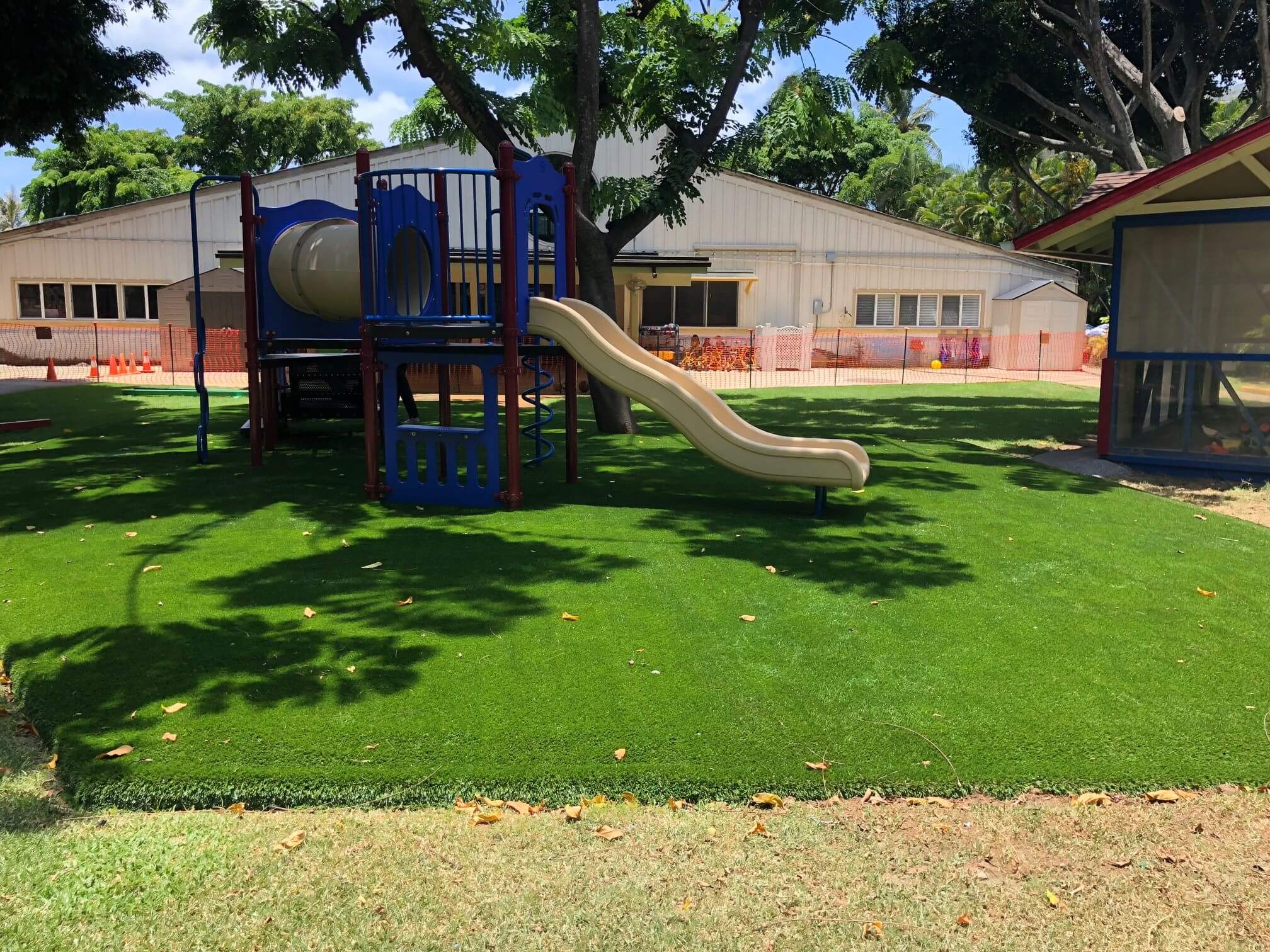 PLAYGROUND GRASS